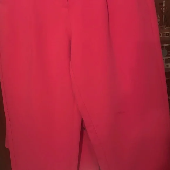 Gorgeous Suit in Vibrant Pink Suit. BRAND NEW WT- entire suit ! - Picture 2 of 16